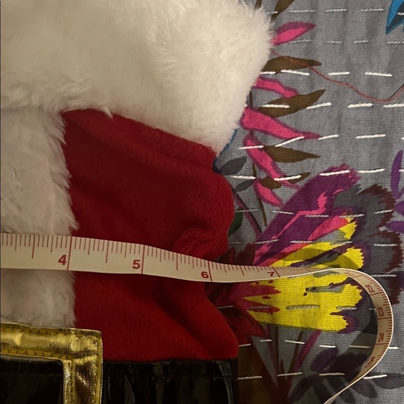 Santa Claus Costume for Dog - Picture 5 of 5